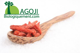 baie-de-goji-recolte-plant-goji-fruit-bio-baie-Goji-himalaya-ningxia-achat-fruit-bio-le-goji-posologie-verus (7) Consommer au quotidien retrouvez tonus et vitalité avec le Goji bio