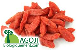 logo-agoji-le-goji-bio-fruit-bio-antioxydant-naturel-puissant-peau-radicaux-libres-vitamine-baobab Baie de goji bio séchée