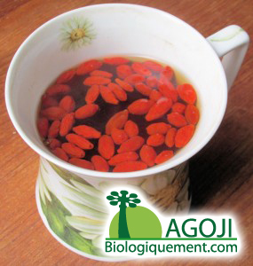 La baie de goji séchée bio est souvant consommée dans le thé en Chine